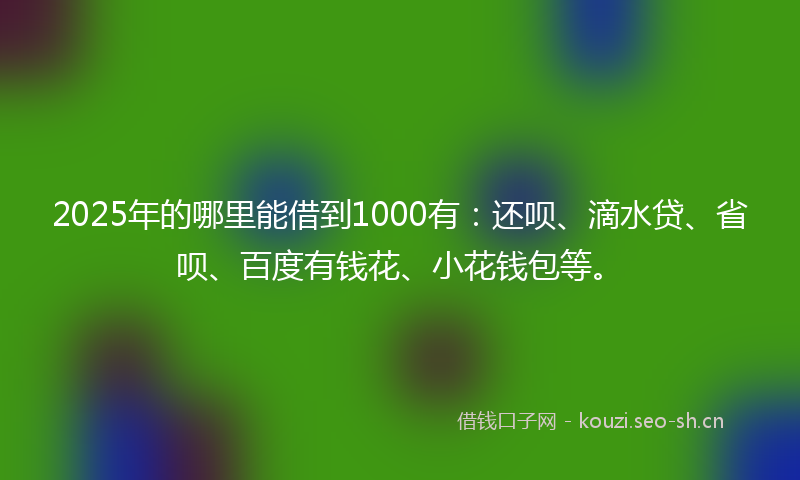 2025年的哪里能借到1000有：还呗、滴水贷、省呗、百度有钱花、小花钱包等。
