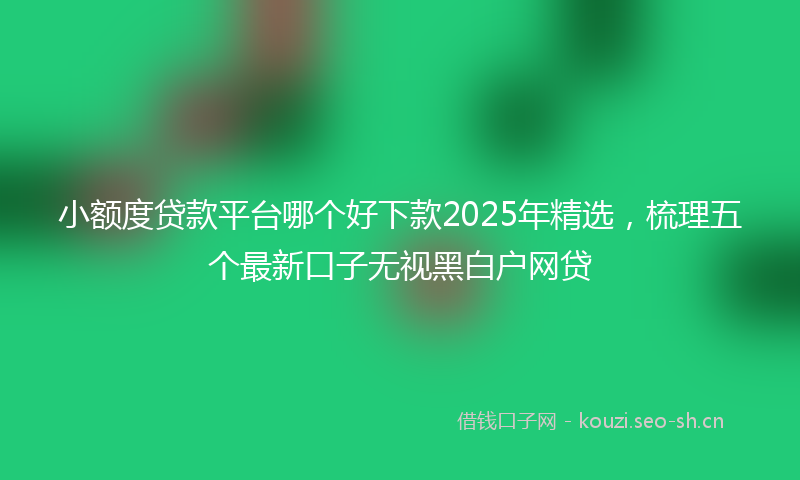 小额度贷款平台哪个好下款2025年精选，梳理五个最新口子无视黑白户网贷
