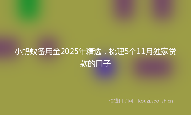 小蚂蚁备用金2025年精选，梳理5个11月独家贷款的口子