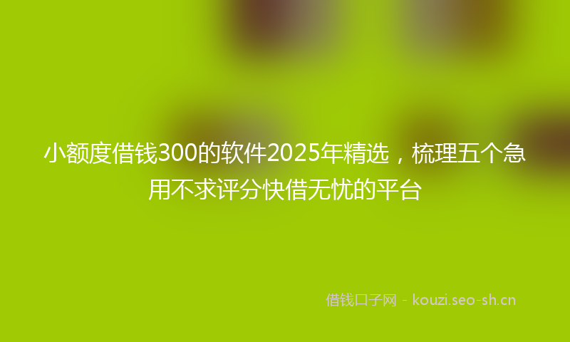 小额度借钱300的软件2025年精选，梳理五个急用不求评分快借无忧的平台