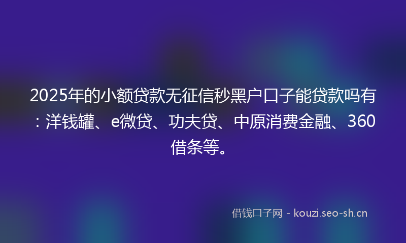 2025年的小额贷款无征信秒黑户口子能贷款吗有：洋钱罐、e微贷、功夫贷、中原消费金融、360借条等。