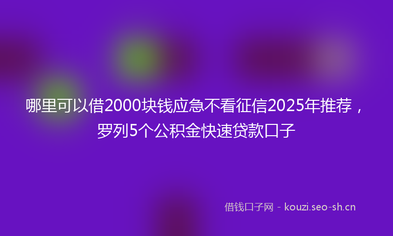 哪里可以借2000块钱应急不看征信2025年推荐，罗列5个公积金快速贷款口子