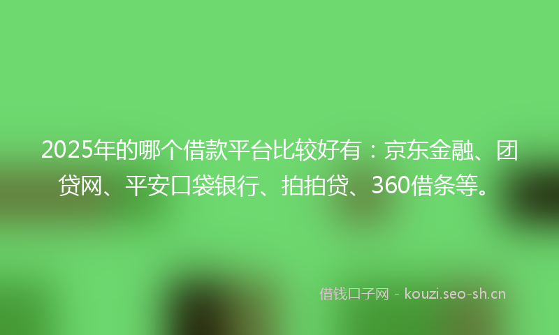 2025年的哪个借款平台比较好有：京东金融、团贷网、平安口袋银行、拍拍贷、360借条等。