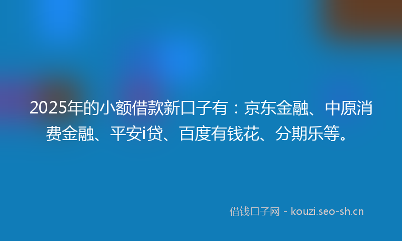 2025年的小额借款新口子有：京东金融、中原消费金融、平安i贷、百度有钱花、分期乐等。