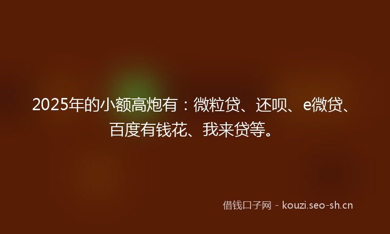 2025年的小额高炮有：微粒贷、还呗、e微贷、百度有钱花、我来贷等。
