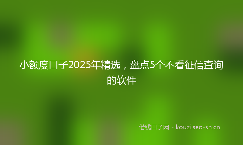 小额度口子2025年精选，盘点5个不看征信查询的软件