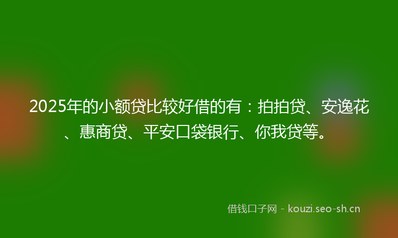 2025年的小额贷比较好借的有：拍拍贷、安逸花、惠商贷、平安口袋银行、你我贷等。