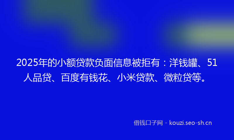 2025年的小额贷款负面信息被拒有：洋钱罐、51人品贷、百度有钱花、小米贷款、微粒贷等。