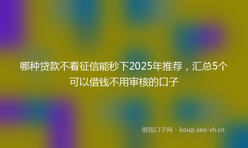 哪种贷款不看征信能秒下2025年推荐，汇总5个可以借钱不用审核的口子