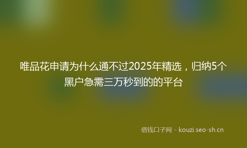 唯品花申请为什么通不过2025年精选，归纳5个黑户急需三万秒到的的平台