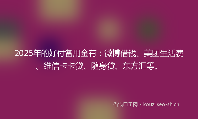2025年的好付备用金有：微博借钱、美团生活费、维信卡卡贷、随身贷、东方汇等。