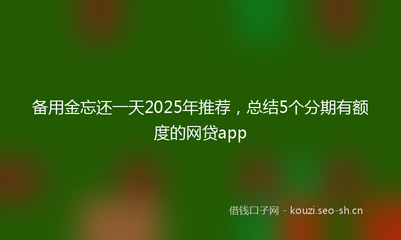 备用金忘还一天2025年推荐，总结5个分期有额度的网贷app