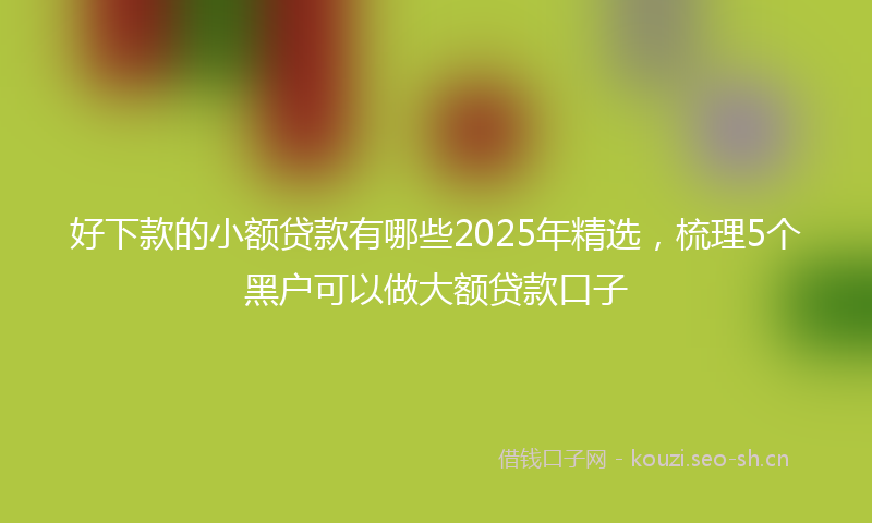 好下款的小额贷款有哪些2025年精选，梳理5个黑户可以做大额贷款口子