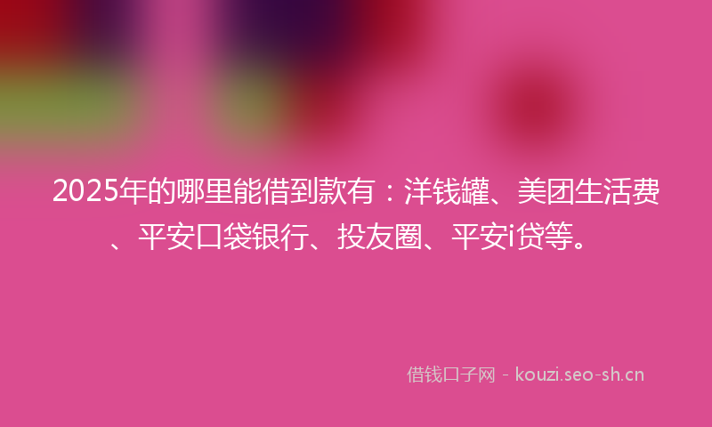 2025年的哪里能借到款有：洋钱罐、美团生活费、平安口袋银行、投友圈、平安i贷等。