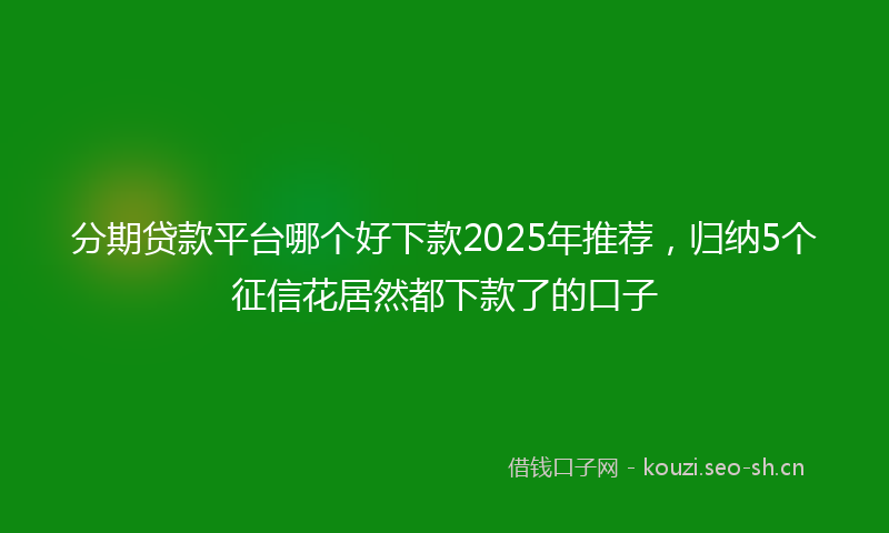分期贷款平台哪个好下款2025年推荐，归纳5个征信花居然都下款了的口子