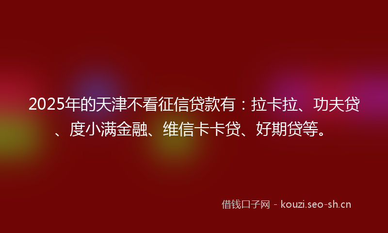 2025年的天津不看征信贷款有：拉卡拉、功夫贷、度小满金融、维信卡卡贷、好期贷等。