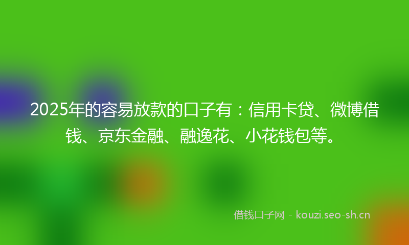 2025年的容易放款的口子有：信用卡贷、微博借钱、京东金融、融逸花、小花钱包等。