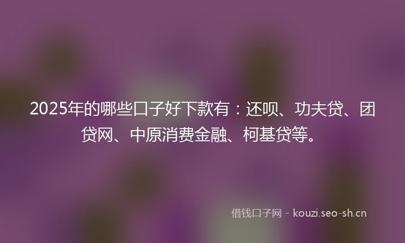 2025年的哪些口子好下款有：还呗、功夫贷、团贷网、中原消费金融、柯基贷等。