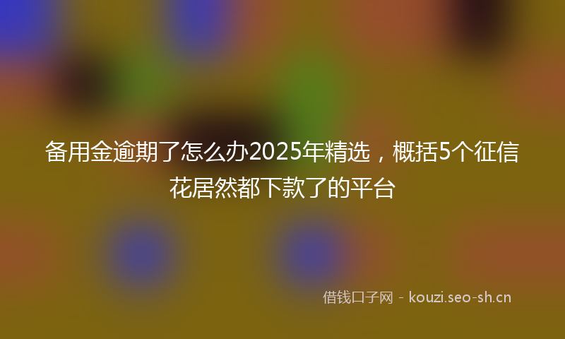 备用金逾期了怎么办2025年精选，概括5个征信花居然都下款了的平台
