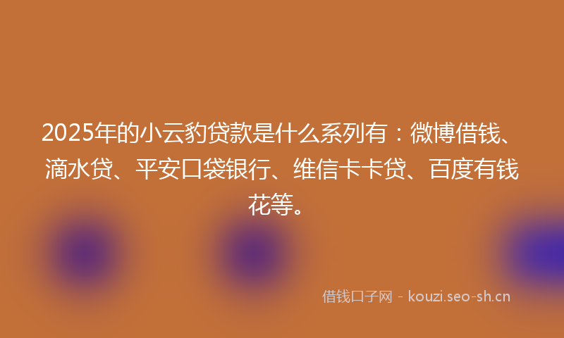 2025年的小云豹贷款是什么系列有：微博借钱、滴水贷、平安口袋银行、维信卡卡贷、百度有钱花等。