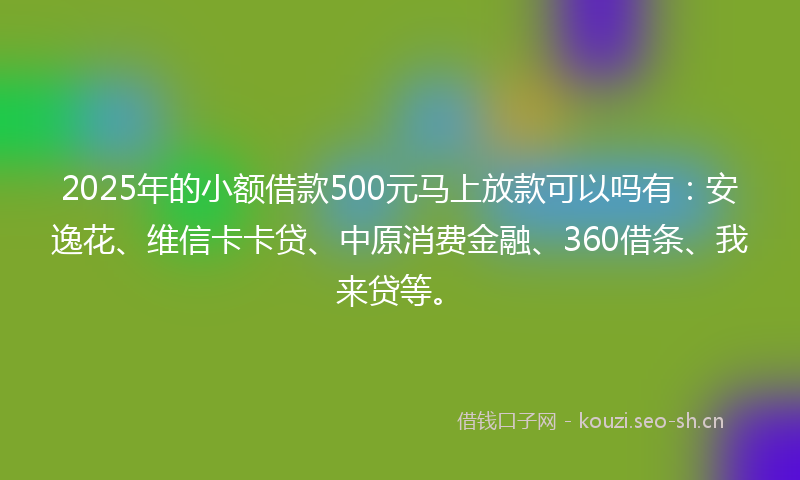 2025年的小额借款500元马上放款可以吗有:安逸花、维信卡卡贷、中原消费金融、360借条、我来贷等。