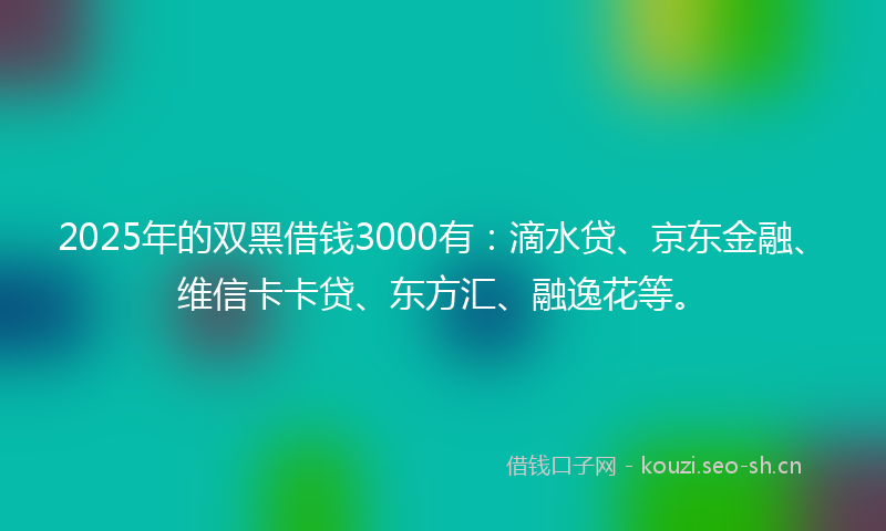 2025年的双黑借钱3000有:滴水贷、京东金融、维信卡卡贷、东方汇、融逸花等。