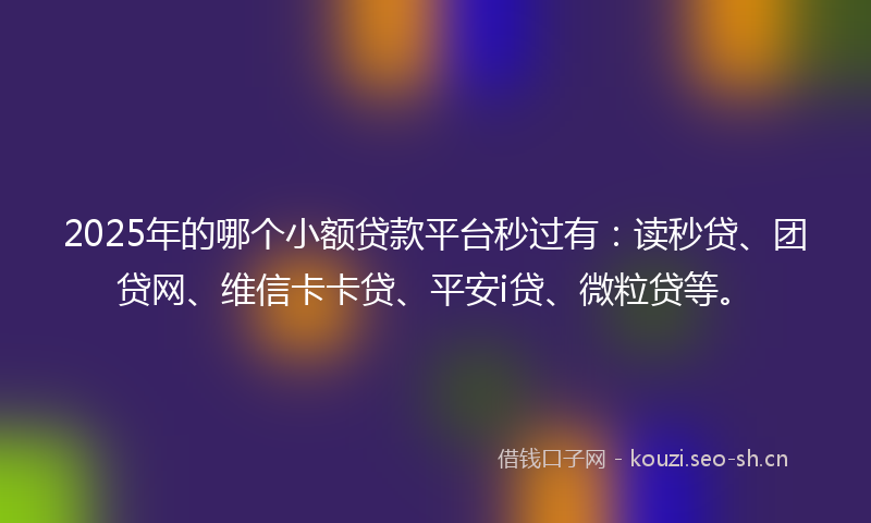 2025年的哪个小额贷款平台秒过有：读秒贷、团贷网、维信卡卡贷、平安i贷、微粒贷等。