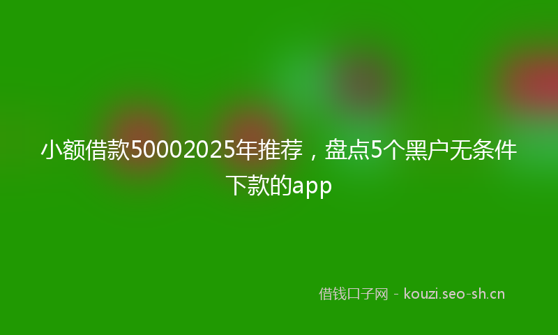 小额借款50002025年推荐，盘点5个黑户无条件下款的app