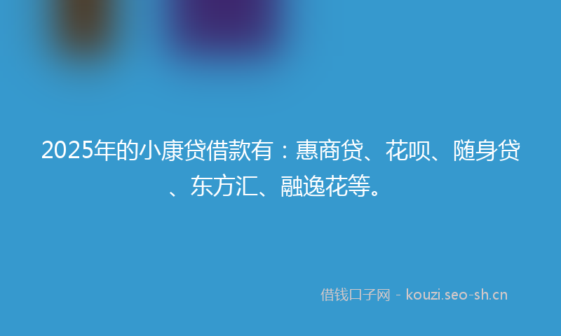 2025年的小康贷借款有：惠商贷、花呗、随身贷、东方汇、融逸花等。