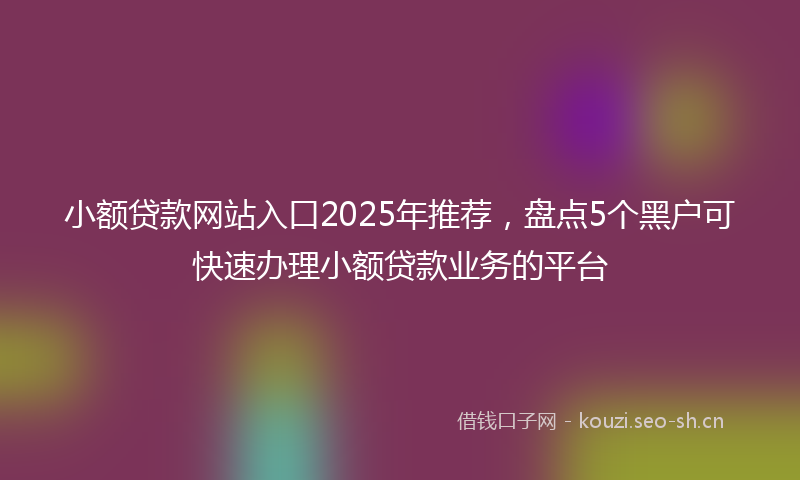 小额贷款网站入口2025年推荐，盘点5个黑户可快速办理小额贷款业务的平台