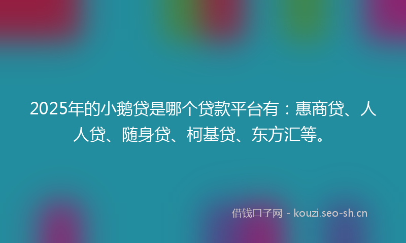 2025年的小鹅贷是哪个贷款平台有：惠商贷、人人贷、随身贷、柯基贷、东方汇等。