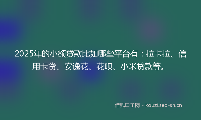 2025年的小额贷款比如哪些平台有：拉卡拉、信用卡贷、安逸花、花呗、小米贷款等。