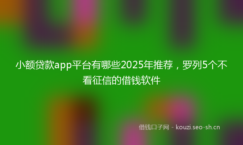 小额贷款app平台有哪些2025年推荐，罗列5个不看征信的借钱软件