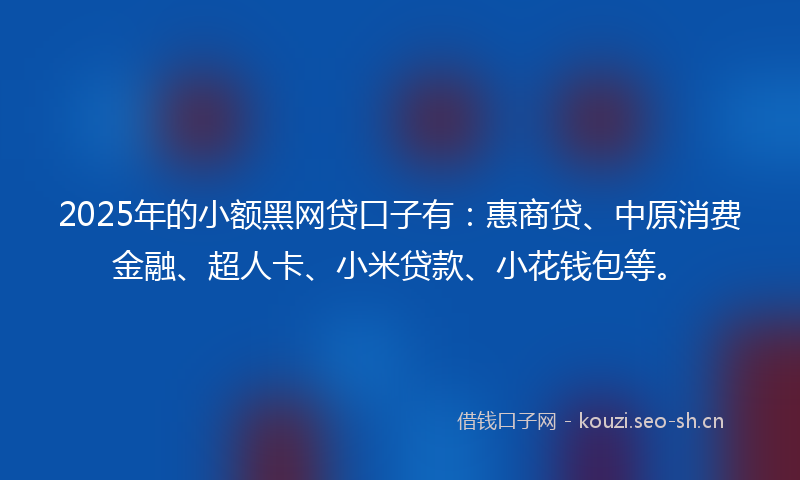 2025年的小额黑网贷口子有：惠商贷、中原消费金融、超人卡、小米贷款、小花钱包等。