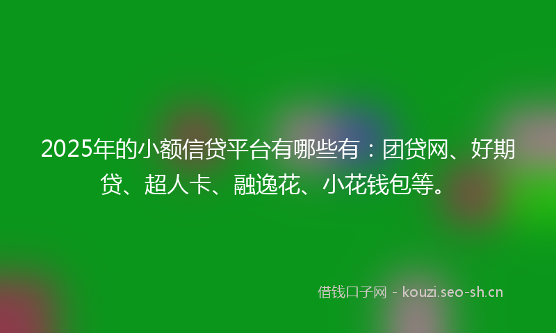 2025年的小额信贷平台有哪些有：团贷网、好期贷、超人卡、融逸花、小花钱包等。