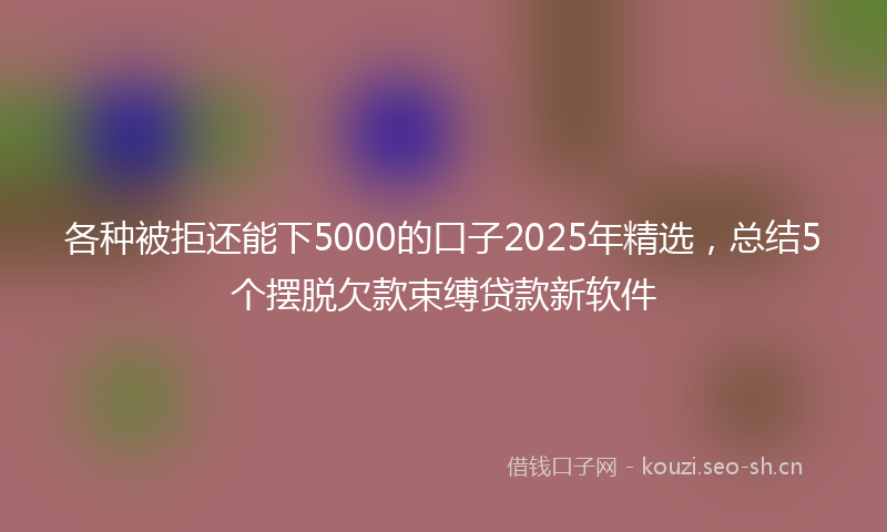 各种被拒还能下5000的口子2025年精选，总结5个摆脱欠款束缚贷款新软件