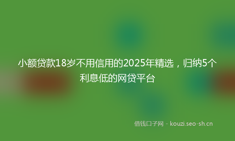 小额贷款18岁不用信用的2025年精选,归纳5个利息低的网贷平台