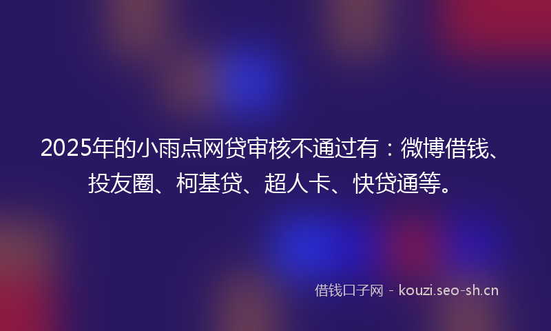 2025年的小雨点网贷审核不通过有：微博借钱、投友圈、柯基贷、超人卡、快贷通等。