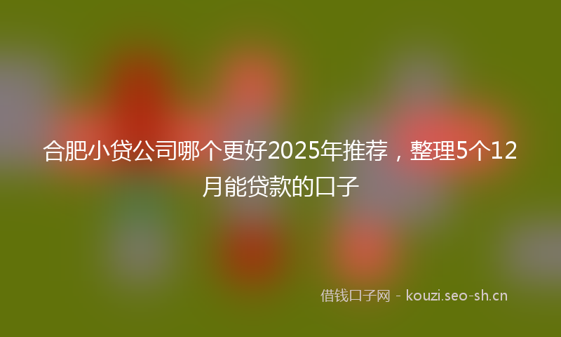 合肥小贷公司哪个更好2025年推荐，整理5个12月能贷款的口子