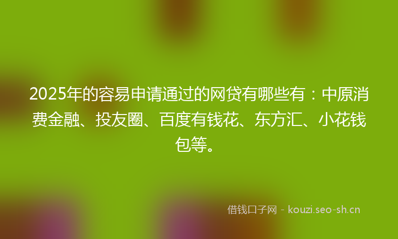 2025年的容易申请通过的网贷有哪些有：中原消费金融、投友圈、百度有钱花、东方汇、小花钱包等。
