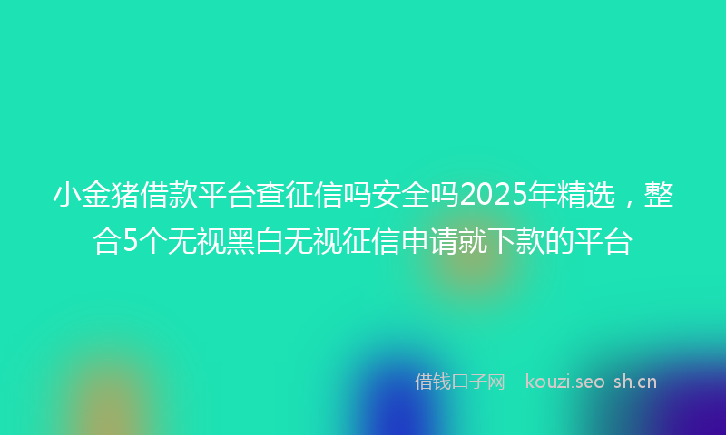 小金猪借款平台查征信吗安全吗2025年精选，整合5个无视黑白无视征信申请就下款的平台