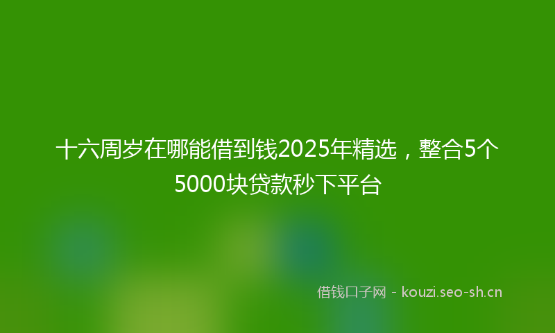 十六周岁在哪能借到钱2025年精选，整合5个5000块贷款秒下平台