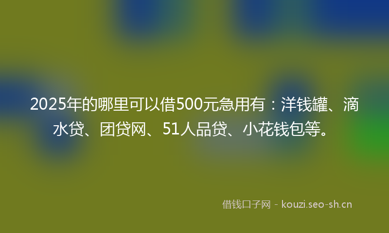 2025年的哪里可以借500元急用有：洋钱罐、滴水贷、团贷网、51人品贷、小花钱包等。