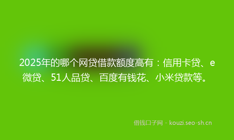 2025年的哪个网贷借款额度高有：信用卡贷、e微贷、51人品贷、百度有钱花、小米贷款等。