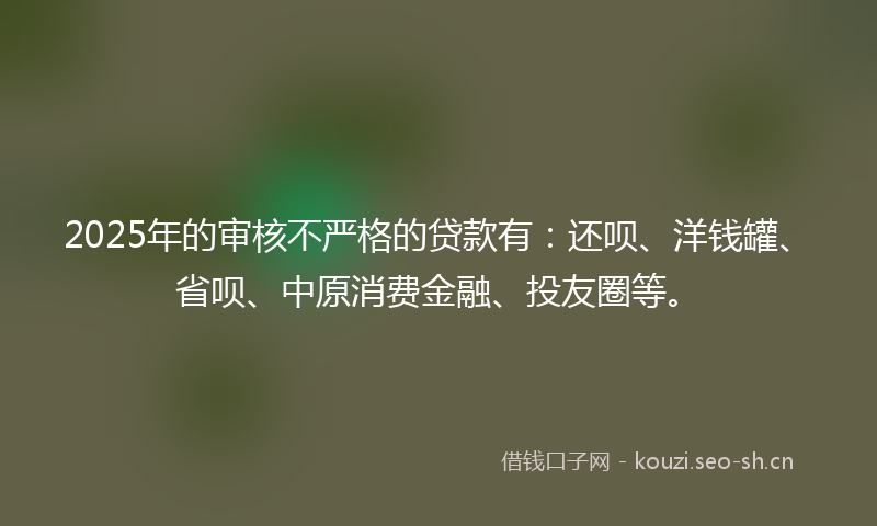 2025年的审核不严格的贷款有：还呗、洋钱罐、省呗、中原消费金融、投友圈等。