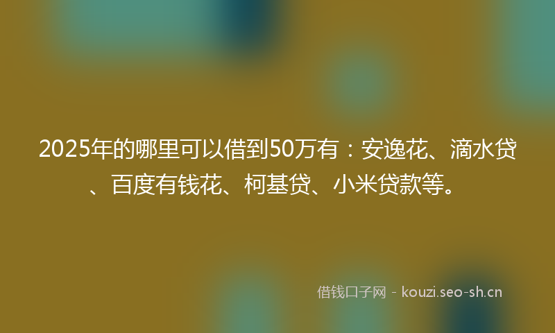 2025年的哪里可以借到50万有：安逸花、滴水贷、百度有钱花、柯基贷、小米贷款等。