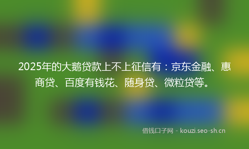 2025年的大鹅贷款上不上征信有：京东金融、惠商贷、百度有钱花、随身贷、微粒贷等。