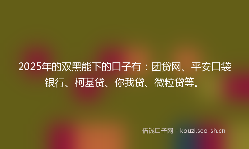 2025年的双黑能下的口子有：团贷网、平安口袋银行、柯基贷、你我贷、微粒贷等。