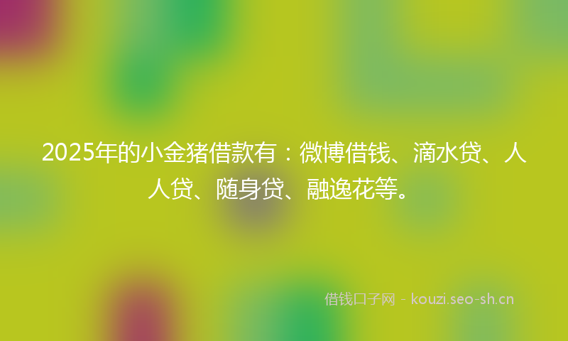 2025年的小金猪借款有：微博借钱、滴水贷、人人贷、随身贷、融逸花等。