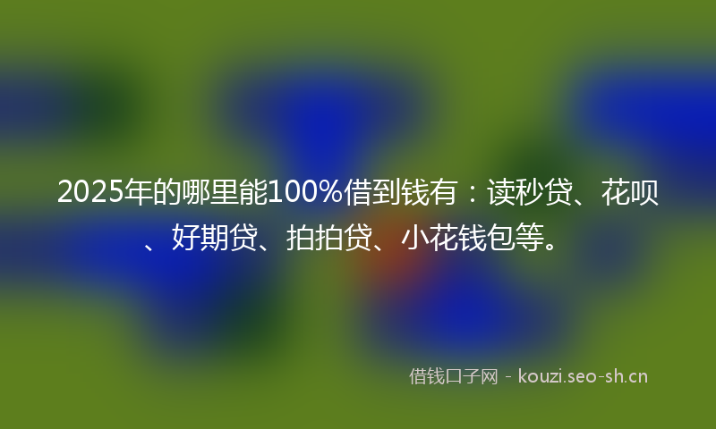 2025年的哪里能100%借到钱有：读秒贷、花呗、好期贷、拍拍贷、小花钱包等。